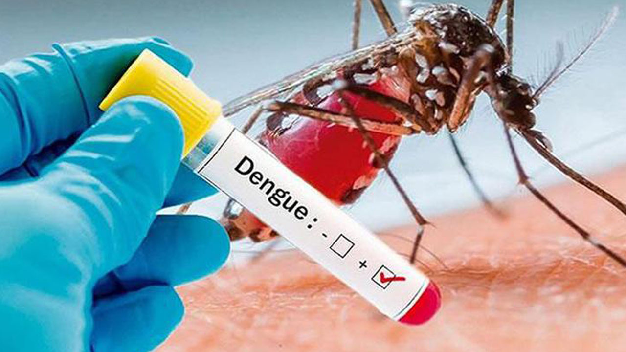 casos-de-dengue-reflejan-una-reduccion-historica-del-71-en-el-salvador